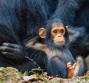 スタッフ紹介・JR札幌駅周辺の美容室【グロウズ】